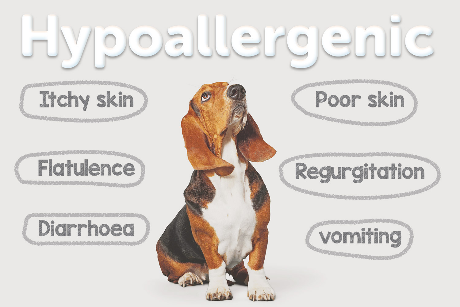 Why Hypoallergenic and What Does It Mean? Orchard House Petfood
